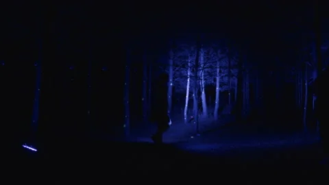 Young woman is looking for something in forest with help of two color lanterns Stock Footage 194499060