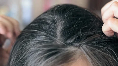Young woman looks through gray hair. Gray hair close up. Early gray hair Stock Footage