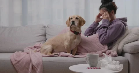 Young woman lying down on sofa with her small dog on sofa, suffering from 스톡 동영상 166471028