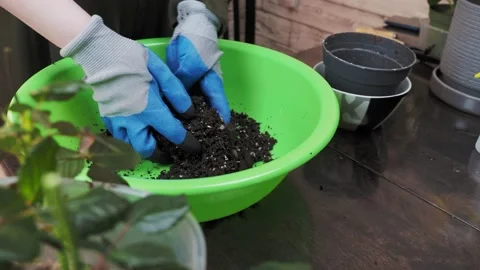 Young woman mixes the soil Stock Footage 178628853