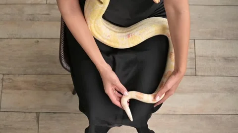 Young woman playing with python at home. A snake in the arms of a young woman 스톡 동영상 164002273