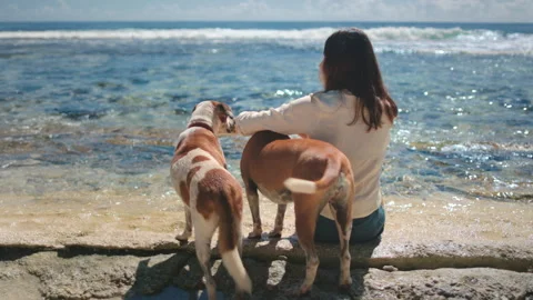 Young woman pointing at something while sitting with dogs by the sea Stock Footage 305082800