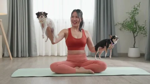 Young woman practicing yoga exercise meditation at home interior with pet d.. Stock Footage 332863629