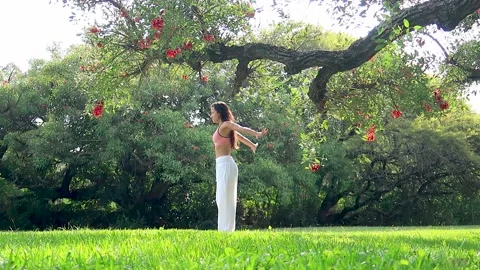 Young Woman Practicing Yoga Performing Succession of Asanas in a Green Park u Stock Footage 192527725