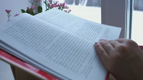 Young woman reading book sitting home by the window. Close-up book Video stock 59021297