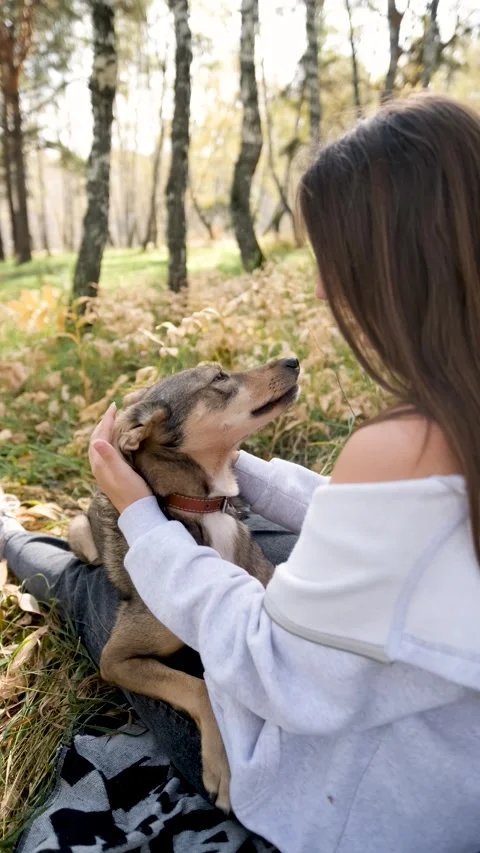 Young woman relaxes while walking her dog in autumn forest Stock Footage 310520549