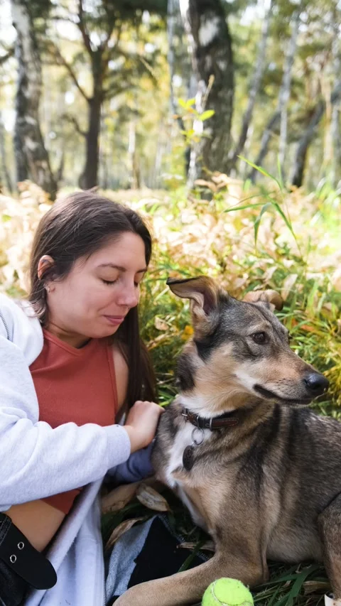 Young woman relaxes while walking her dog in autumn forest Stock Footage 310520643
