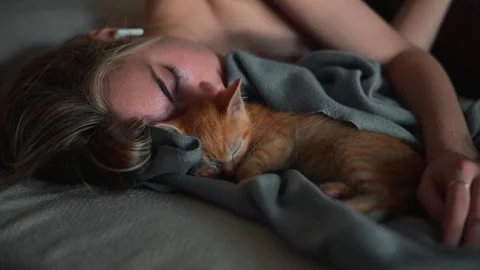 A young woman rests on a bed while sleeping next to a cat in an indoor space. Stock Footage 339025479