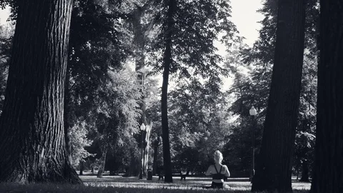 Young woman sitting in padmasana against the trees Stock Footage