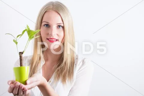 Young woman with small tree Stock Photos