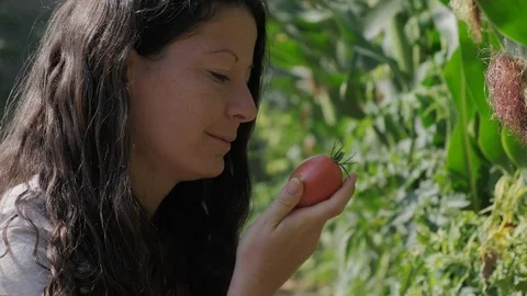 Young woman smelling a fresh red tomato in a garden 4k Stock Footage