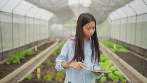 Young woman smiles while using tablet in greenhouse Видео 346280312
