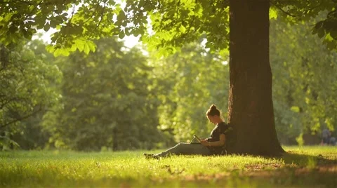 Young woman student using digital tablet for studying while sitting in the park Stock Footage 63861902
