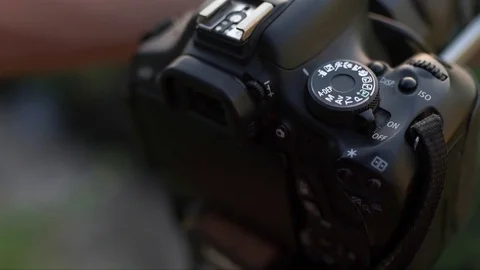 Young woman using a camera to take photo outdoors at the park Stock-Footage 82147524