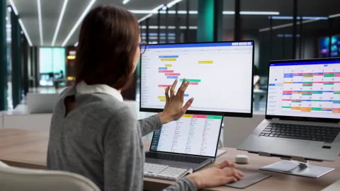 Young Woman Using Computer Software Stock Footage 335454509