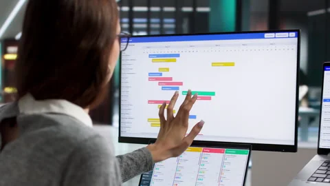 Young Woman Using Computer Software Stock Footage 335456635