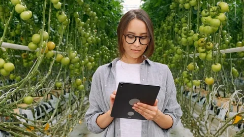 Young Woman Using or Playing Tablet in Greenhouse. Green Plant Growing in Warm Stock Footage 116773799