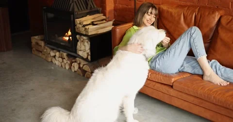 Young woman using phone while sitting relaxed with her cute white dog on a couch Stock Footage 175149931