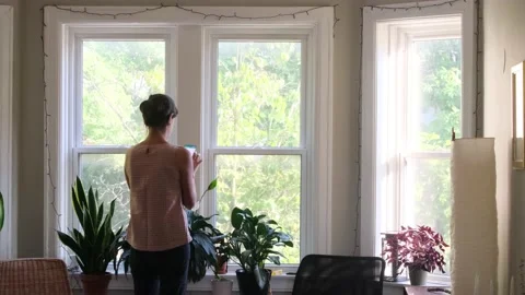 Young woman using smart phone in the morning in front of the window Stock Footage 219568601