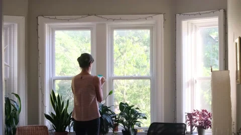Young woman using smart phone in the morning in front of the window Stock Footage 219568650