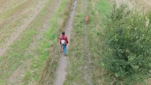 Young Woman Walking On Path With Two Dogs In the rural area. Stock-Footage 315529513
