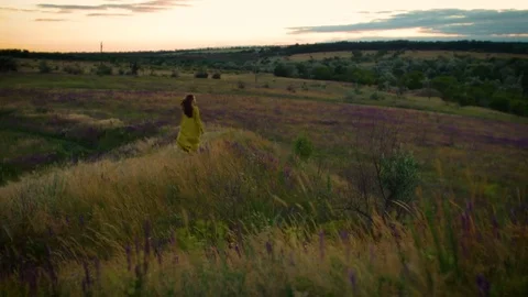 Young woman walking on winded flowers field in sunset time Vídeos de archivo 76734026