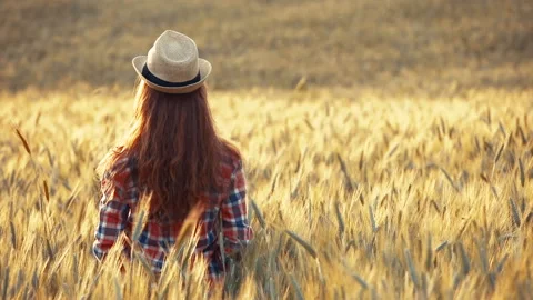 A young woman's hand touching the grass in a wheat field. Young farmer. Stock Footage 132139512
