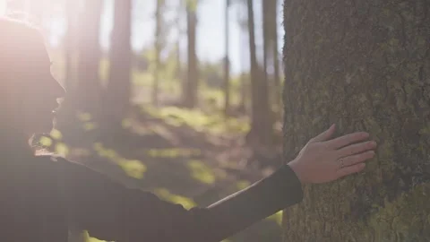 Young woman’s hand touching a tree in a peaceful forest. Girl in a forest 動画素材 289625206