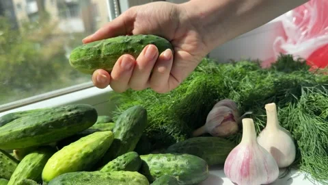 A young womans hands are picking cucumbers at the supermarket. The process of Stock Footage 314525506