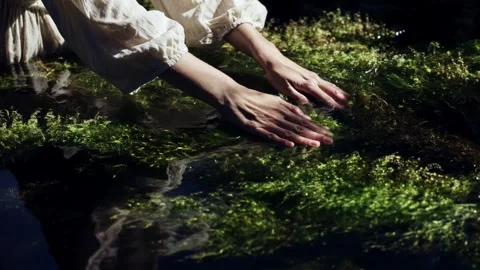 Young womans hands gently touch the clear water of a peaceful forest lake Stock Footage 314826167