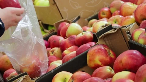 The young woman's hands put apples in a bag. Stock Footage 170592775