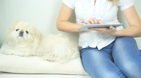 Young women  with tablet pc. Video stock 58504951