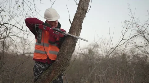 Young worker in a helmet saws a tree Video stock 164995626