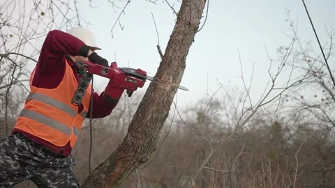 Young worker in a helmet saws a tree Video stock 164995682