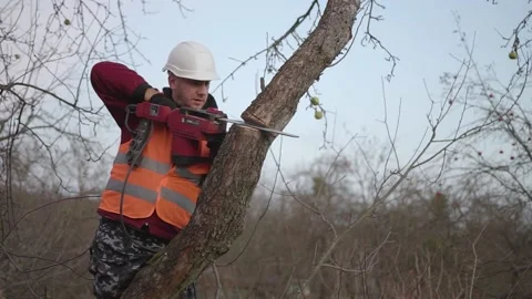 Young worker in a helmet saws a tree Video stock 164995754