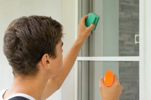 A young worker washes a protective net against insects and mosquitoes. Concep Stock Photos