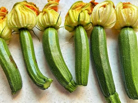 Young zucchini Stock Photos