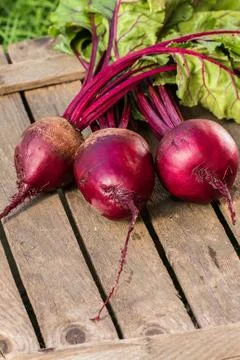 Young,fresh beets with tops on  rustic  table Stock Photos