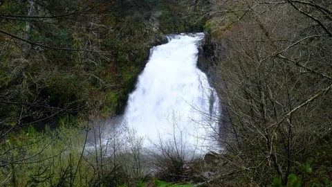 Youngs River Falls, Clatsop County, Oregon Stock Footage 74240672
