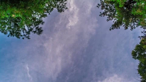 On Your Back clouds flying overhead HD Time Lapse Video in park with trees Stock Footage 138657536