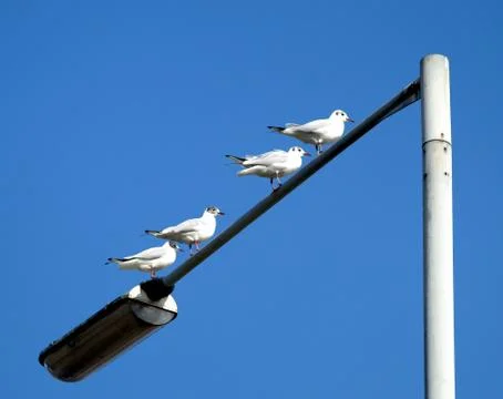On your marks Foto stock
