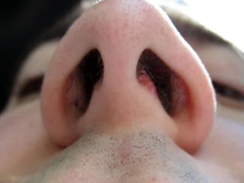 Up your nose Stock Photos