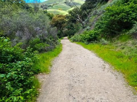Is this your path? Stock Photos