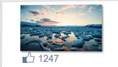 Your Photo on Social Media - Likes Counter Stock After Effects