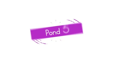Your Promo Stock After Effects