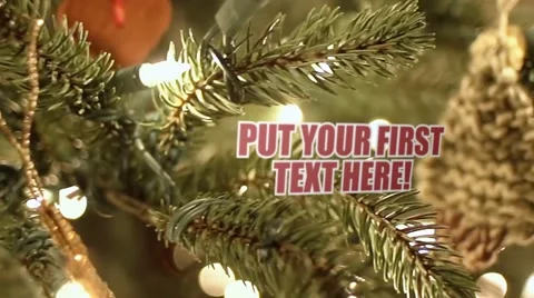 Your Text on Christmas Tree Stock After Effects
