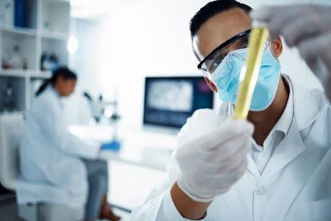 Youre almost ready to be approved. a young scientist conducting medical research Stock Photos