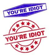 You are an idiot rubber stamp Royalty Free Vector Image