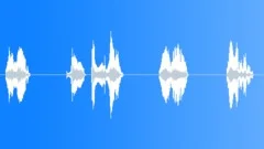 You're a liarSound Effect