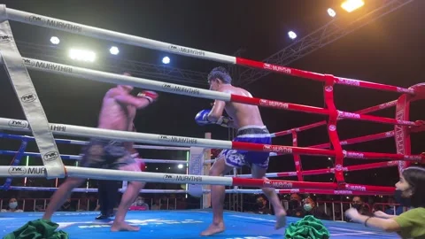 Amateur On Knees Stock Videos – Royalty-Free HD & 4K Videos